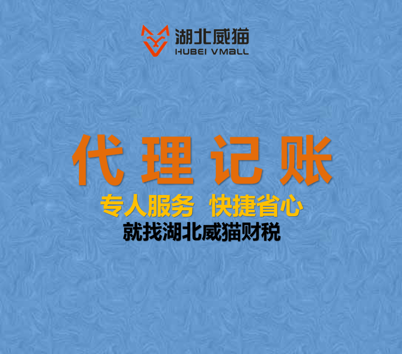 一般纳税人代理记账报税流程如何？